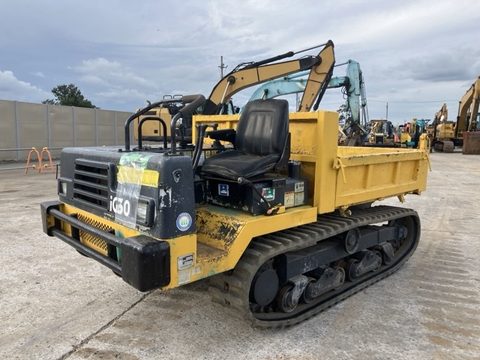 IC30